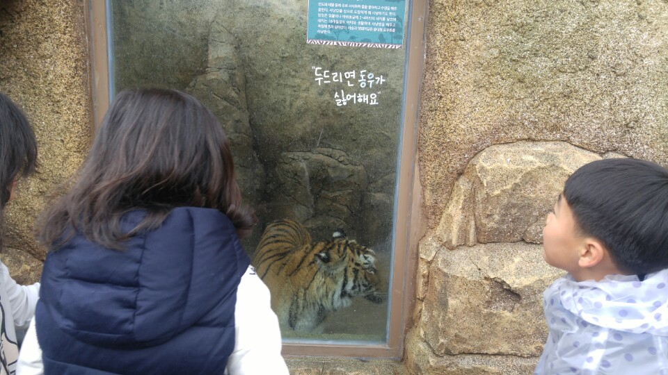 KakaoTalk_20180406_161608094.jpg