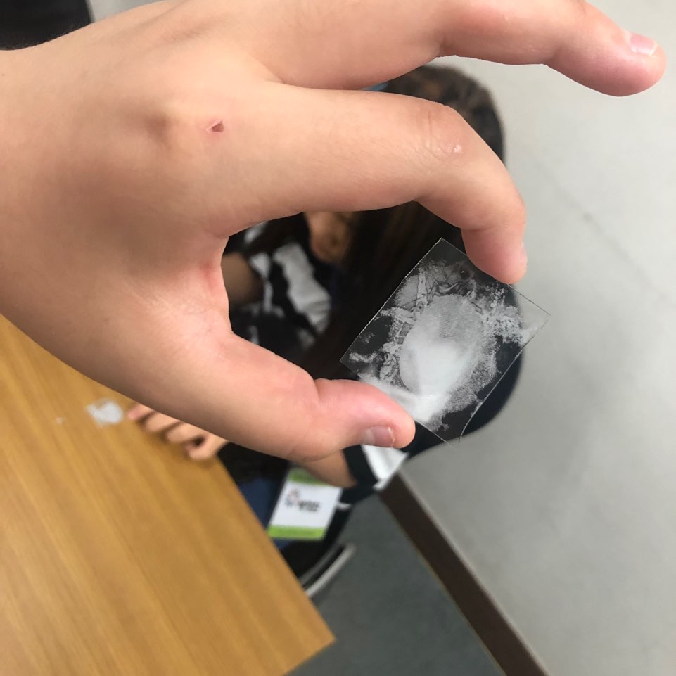 KakaoTalk_20190726_170553061_11.jpg